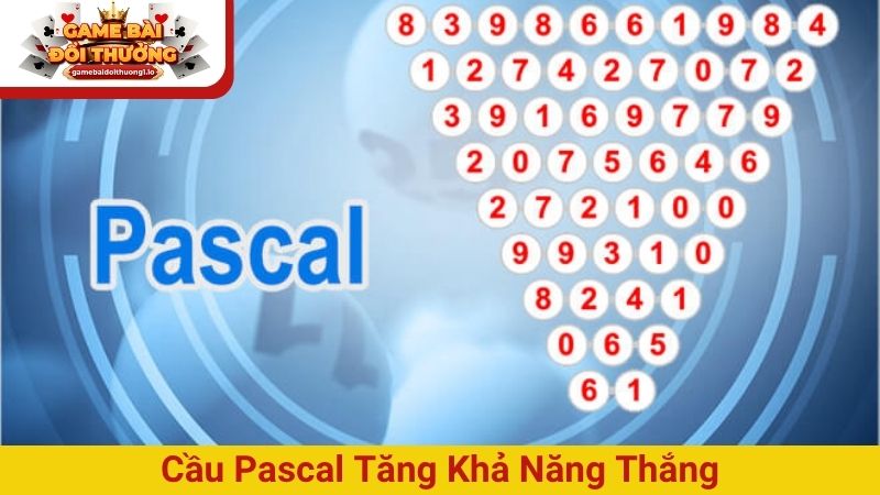 Cầu Pascal tăng khả năng thắng